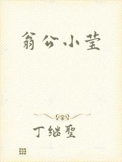 翁公小莹