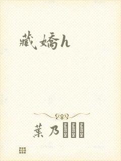 藏娇h