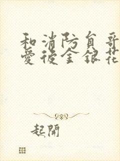 和消防员哥哥恋爱后金银花趣笔阁封面