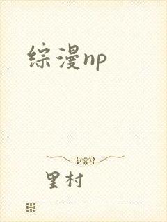 综漫np