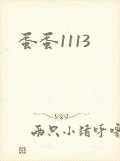 蛋蛋1113封面
