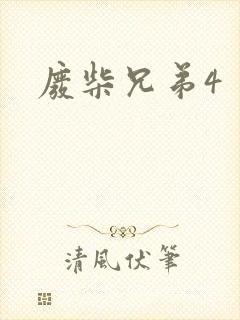 废柴兄弟4封面