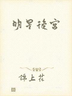 明星后宫封面