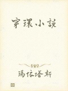 穿环小说