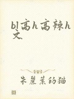 bl高h高辣h文
