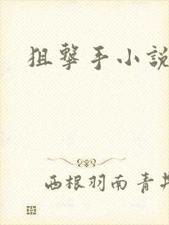 狙击手小说