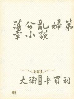 荡公乱妇第51章小说