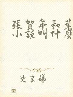 张贺年和叶繁姿小说叫什么名字