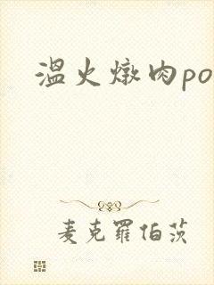 温火炖肉pop