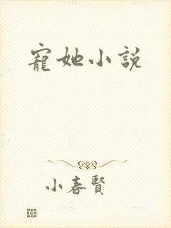 宠她小说