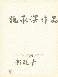 魏承泽作品封面