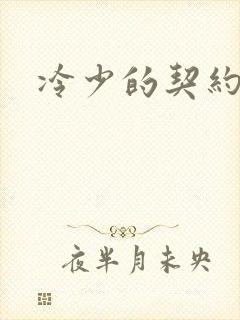 冷少的契约囚奴