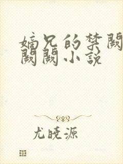 嫡兄的禁阙 华阙阙小说封面
