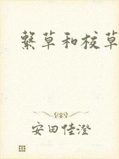 系草和校草封面
