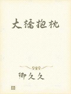 大桥抱枕