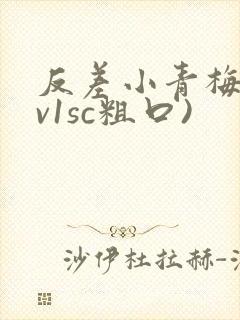 反差小青梅(1v1sc粗口)封面