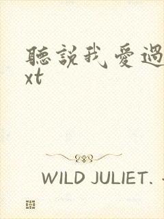听说我爱过你txt