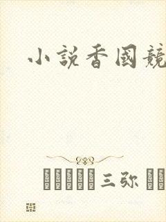 小说香国竞艳