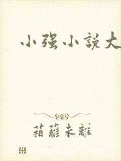 小强小说大全