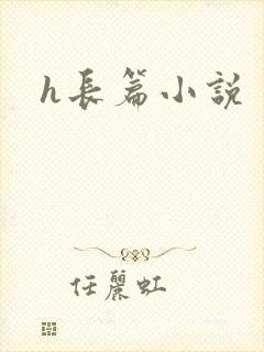 h长篇小说