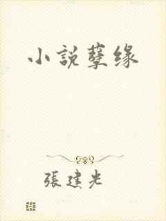 小说孽缘