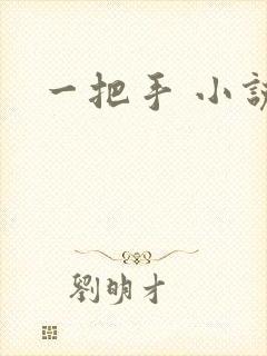一把手 小说