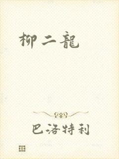 柳二龙