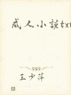 成人小说txt