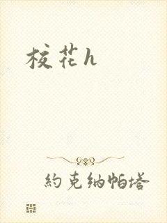 校花h