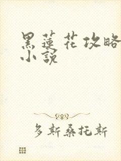 黑莲花攻略手册小说