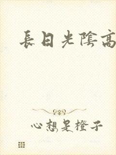 长日光阴高h封面