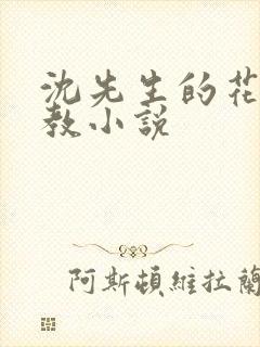 沈先生的花式调教小说