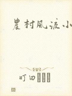 农村风流小说