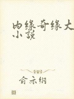 内缘奇缘大团圆小说