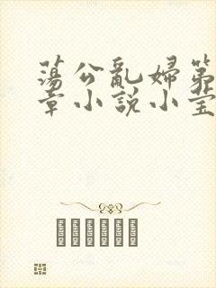 荡公乱妇第51章小说小莹