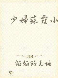 少妇苏霞小说