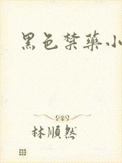 黑色禁药小说