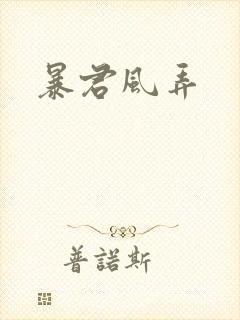 暴君风弄封面