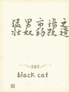 猛男市场之肌肉壮奴的改造