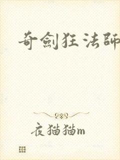 奇剑狂法师