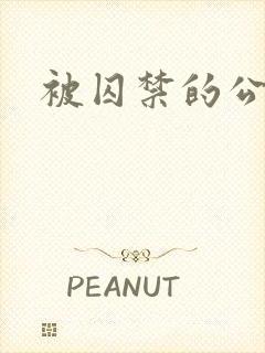 被囚禁的公主