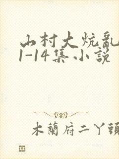 山村大炕乱肉续1-14集小说