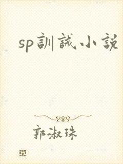 sp训诫小说
