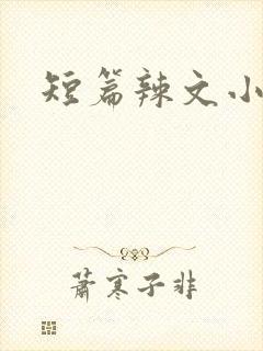 短篇辣文小说