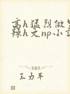 高h猛烈做哭高辣h文np小说