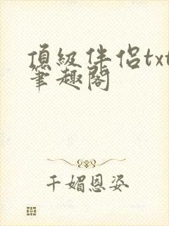 顶级伴侣txt笔趣阁