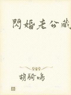 闪婚老公藏不住封面