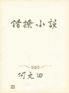错撩小说封面
