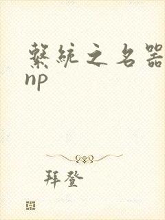 系统之名器攻略np