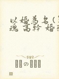 以婚为名 (军魂 高干 婚恋)